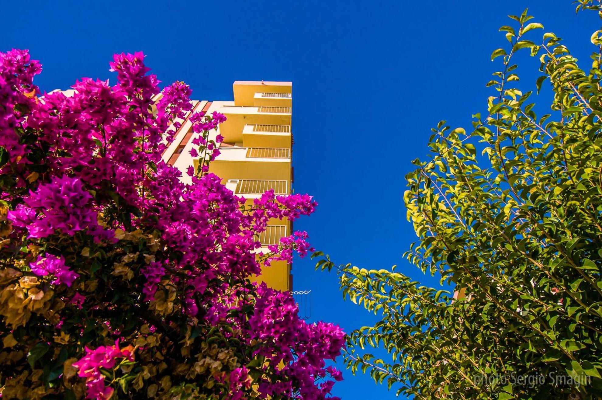 426 Estudio En Minerva Apartamentos - Vista Al Jardin - Piscina Y Playa Benalmádena Dış mekan fotoğraf